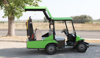Melex trasporto disabili pieno