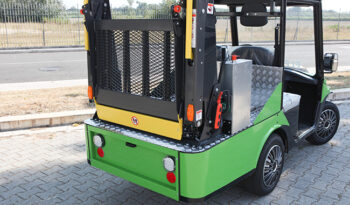 Melex trasporto disabili pieno