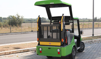 Melex trasporto disabili pieno